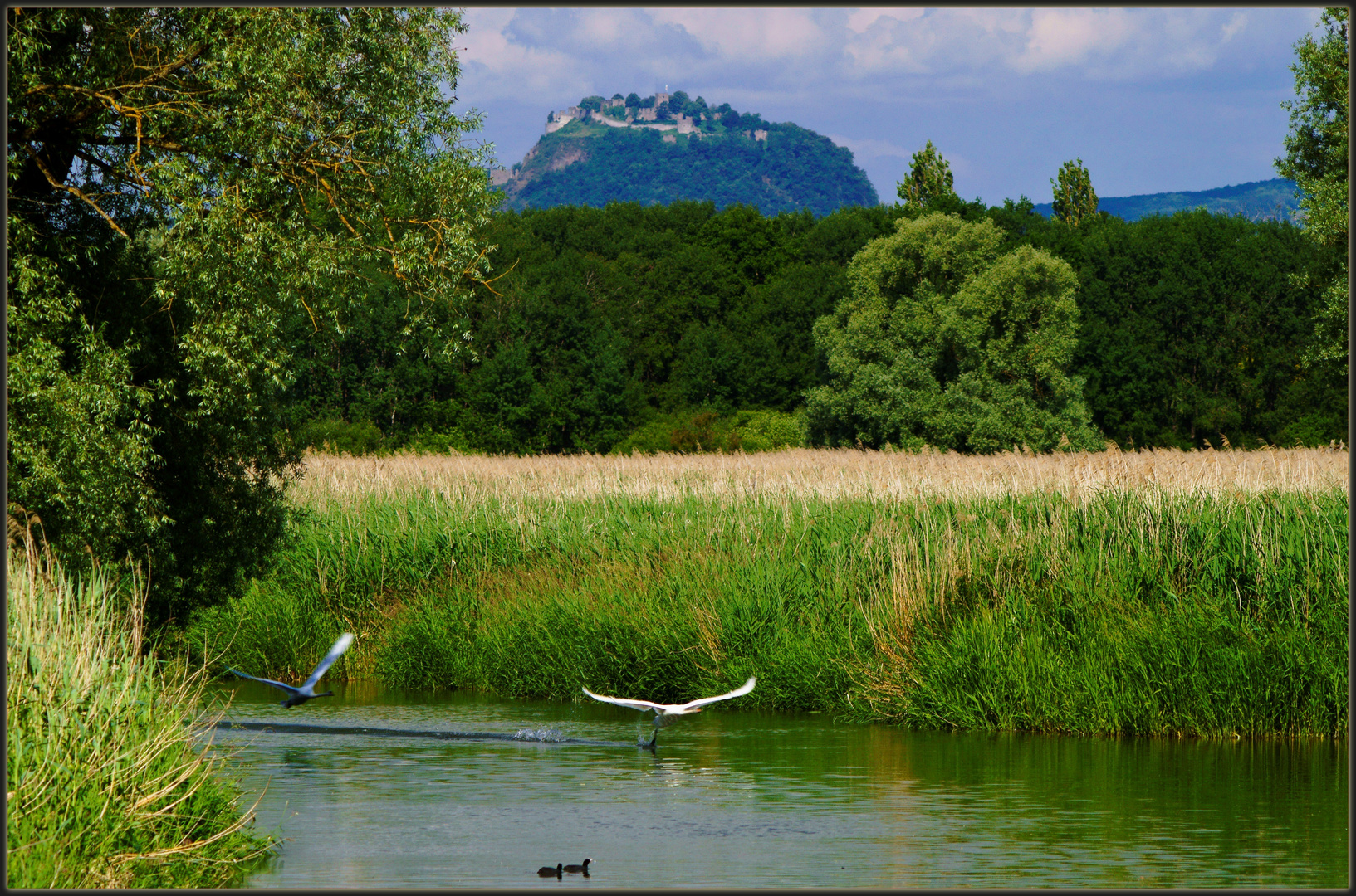 Nähe Hohentwiel