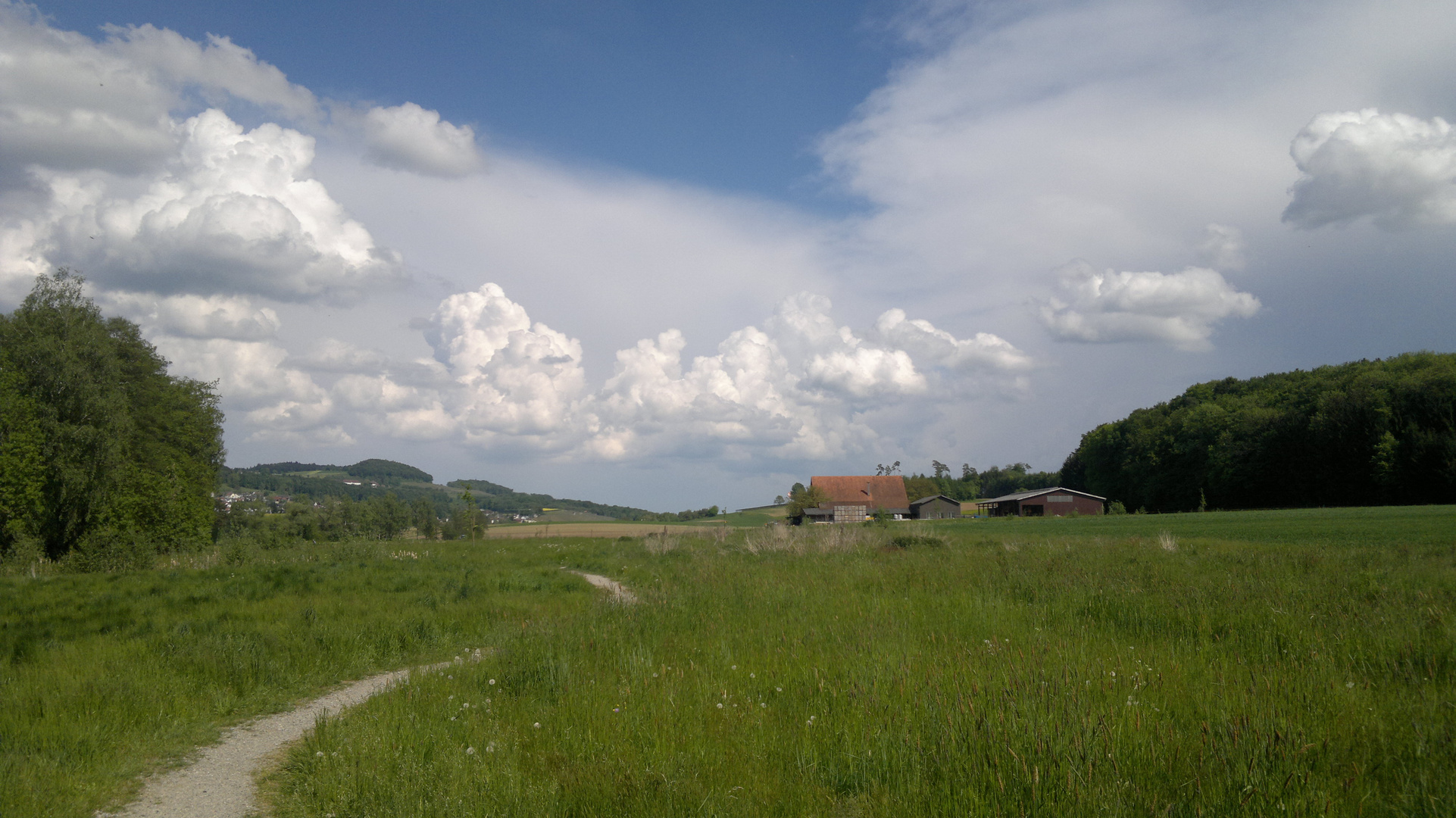 Nähe Hüttwilersee