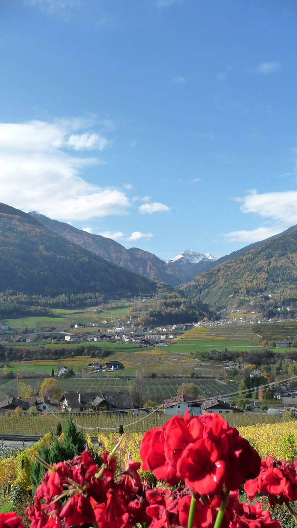 Nähe Kloster-Neustift, vom Pacherhof aus.