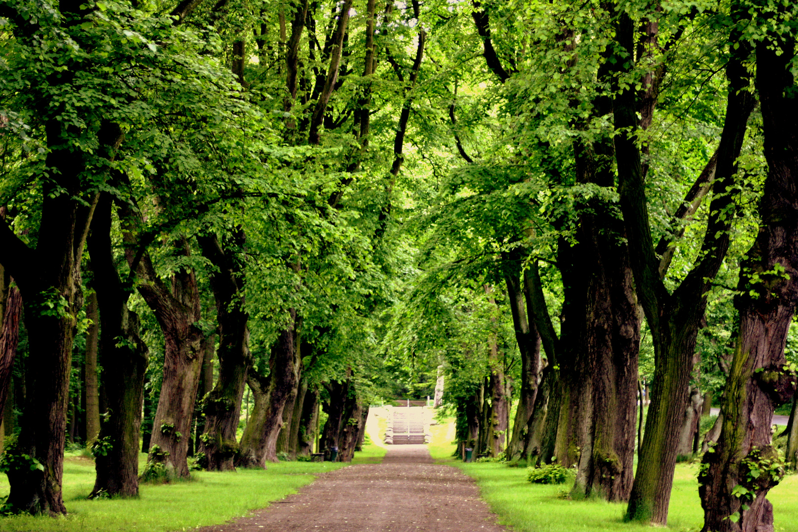 Nähe Nußberg (Braunschweig)