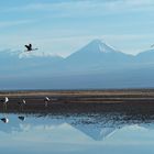 Nähe San Pedro di Atacama