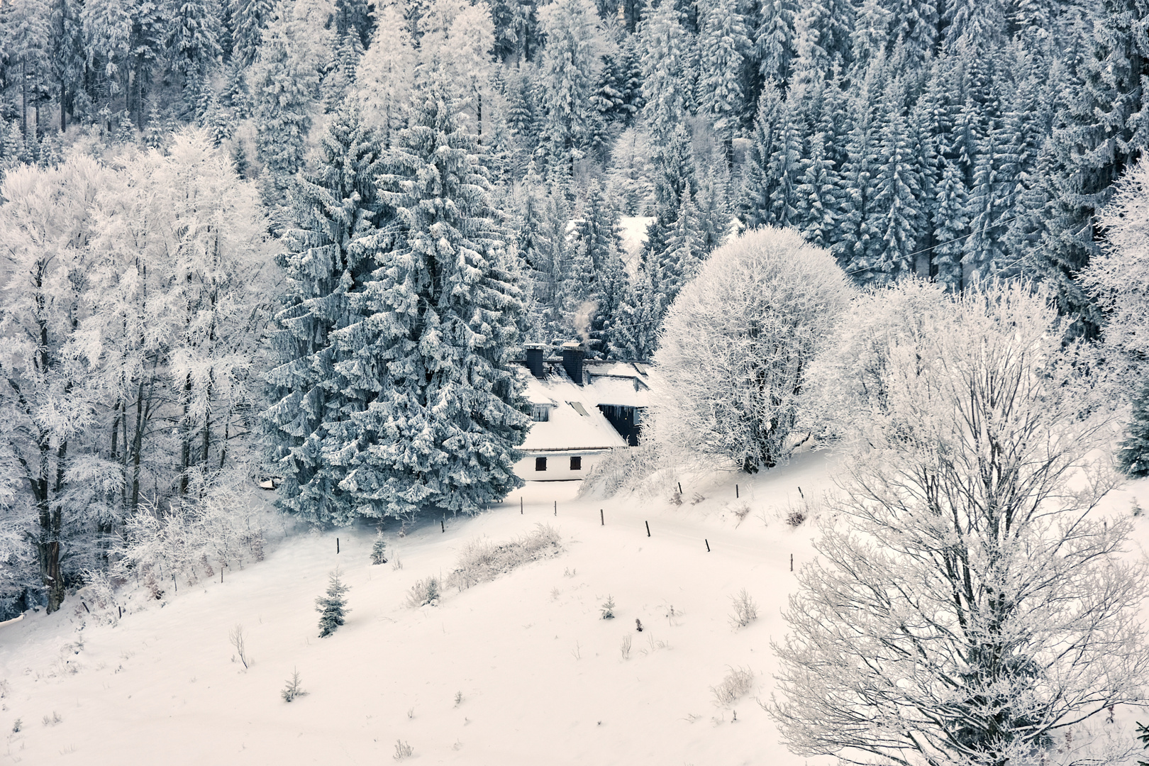 Nähe Schönau im Schwarzwald