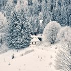 Nähe Schönau im Schwarzwald