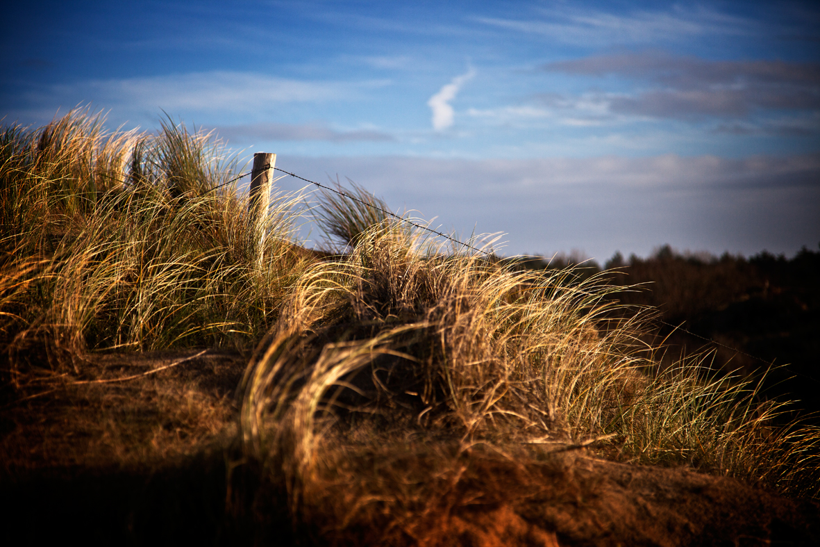 Nähe Strand bei Nordwijk