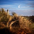 Nähe Strand bei Nordwijk