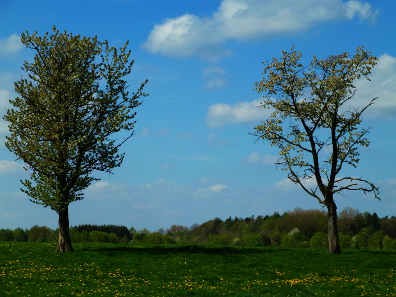 Nähe Tiergarten Duett