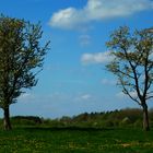 Nähe Tiergarten Duett