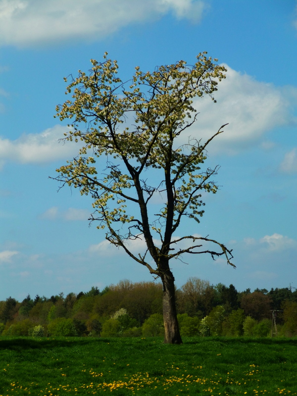 Nähe Tiergarten