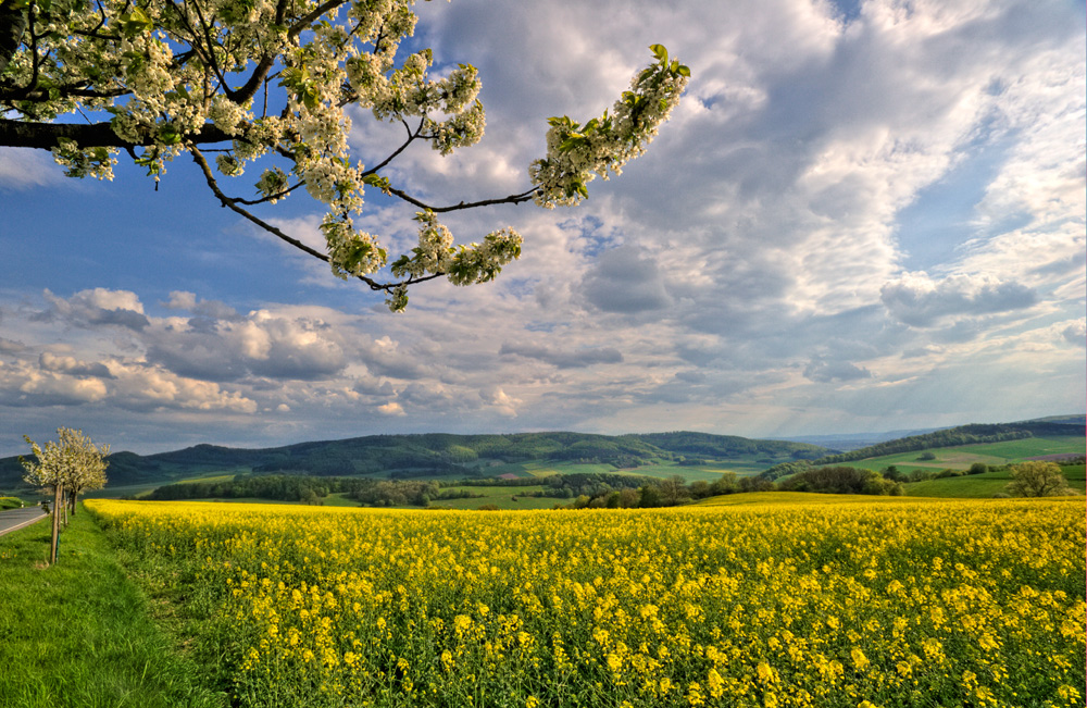 Nähe und Ferne