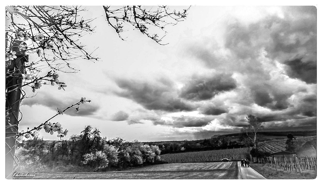 Nähernde Gewitterwolken über die Weinbergen