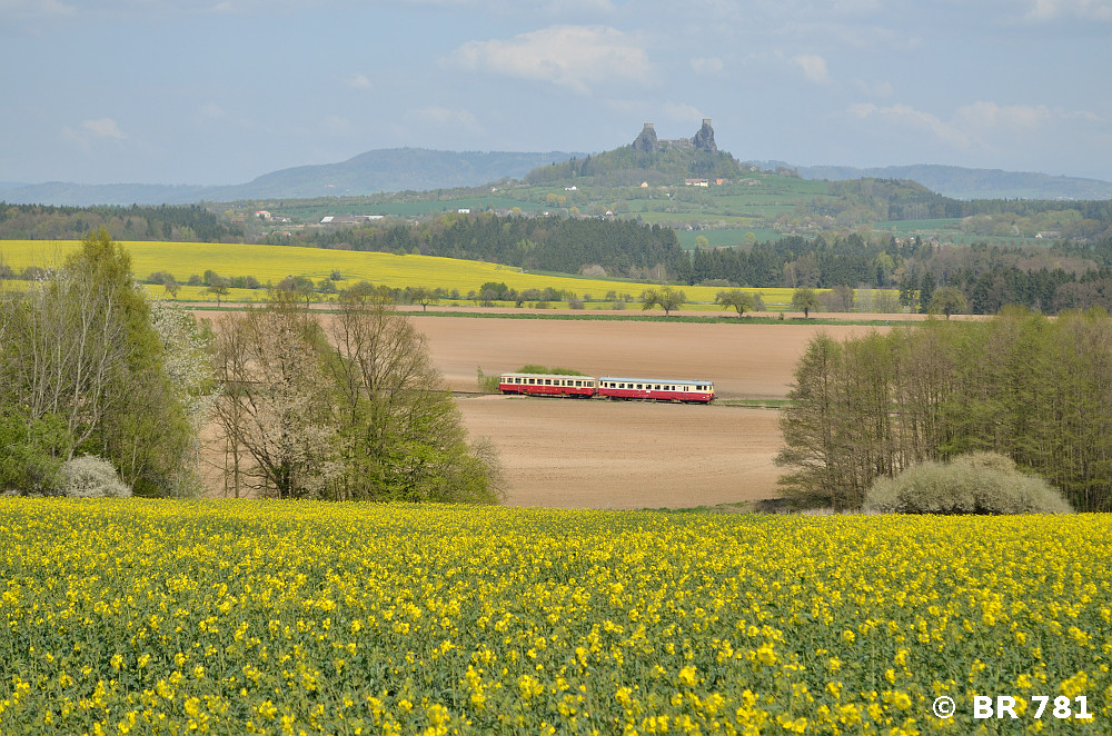 Nähmaschine im Land der Blüten