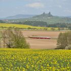 Nähmaschine im Land der Blüten