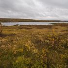 Näkkäläjärvi