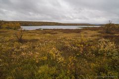 Näkkäläjärvi