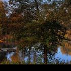 Näppi im Herbst