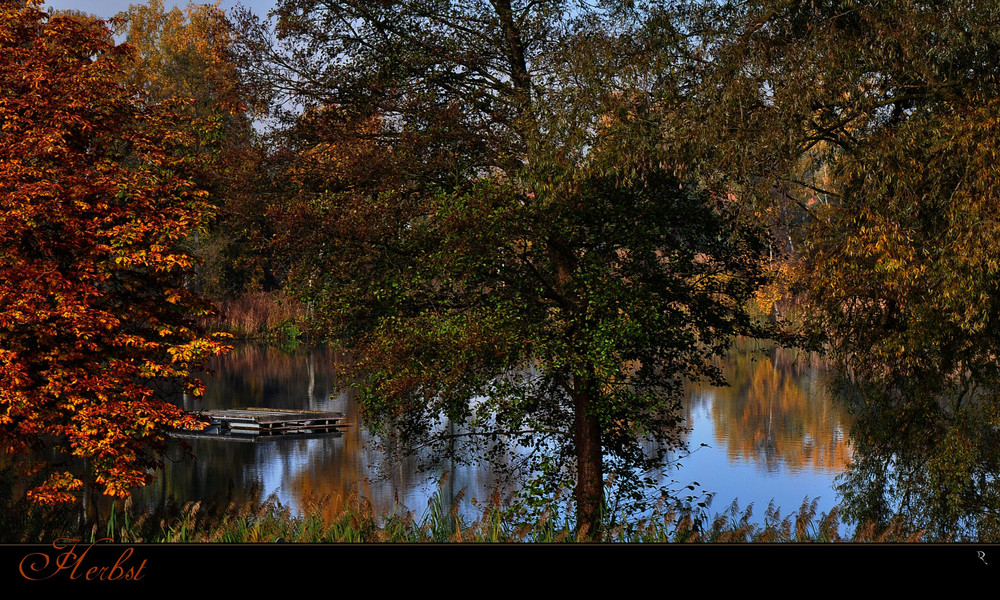 Näppi im Herbst