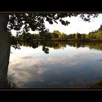 Näppi im Herbst