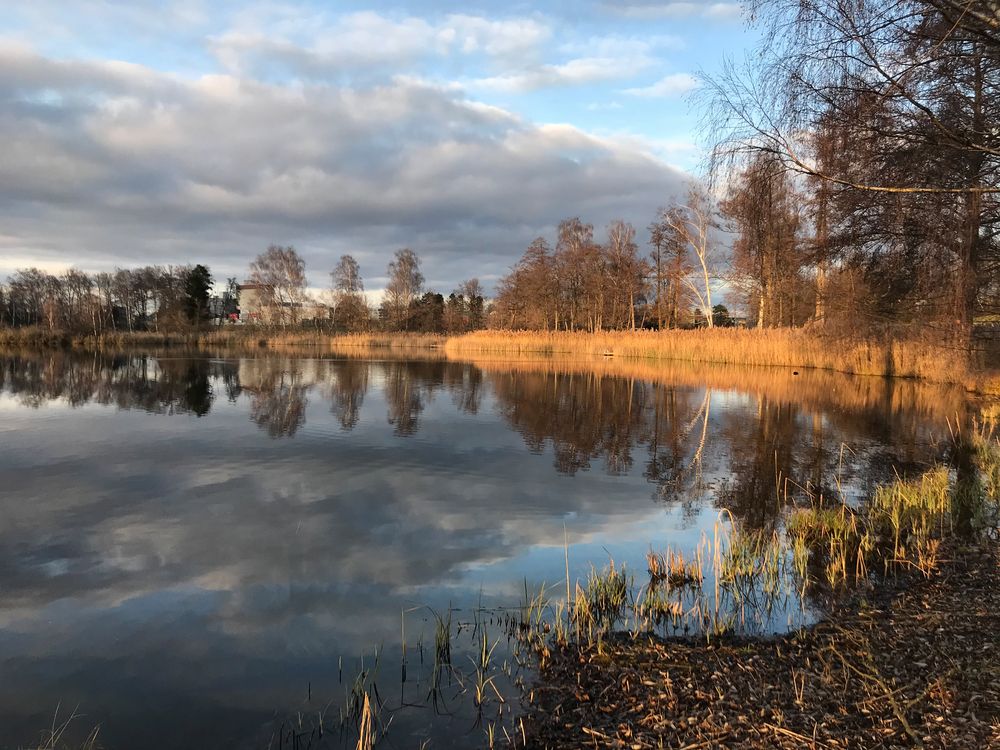 Näppi Januar