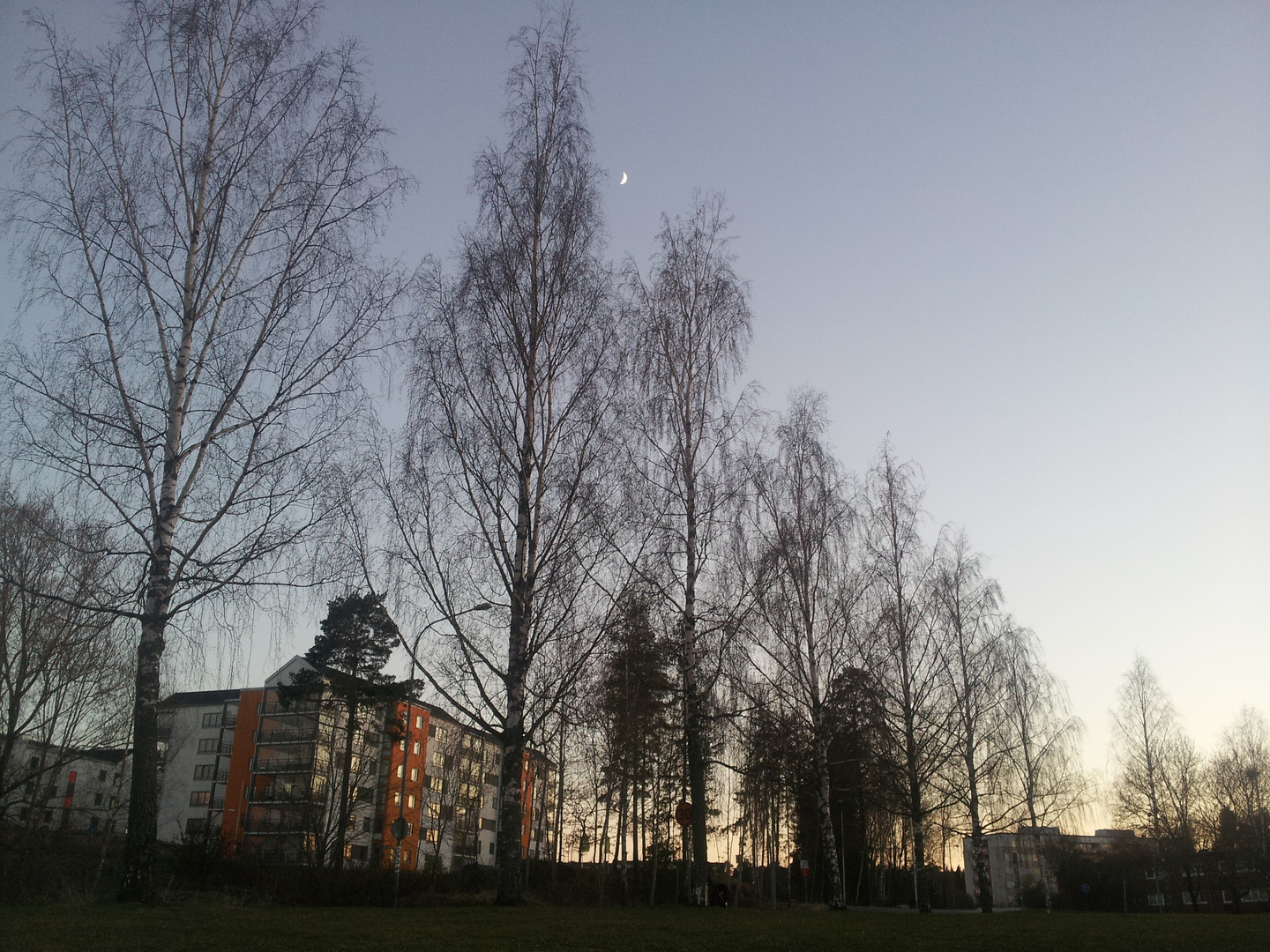  När knopparna fyller min önskan, min ensamhet -  When the buds fill my desire, my loneliness