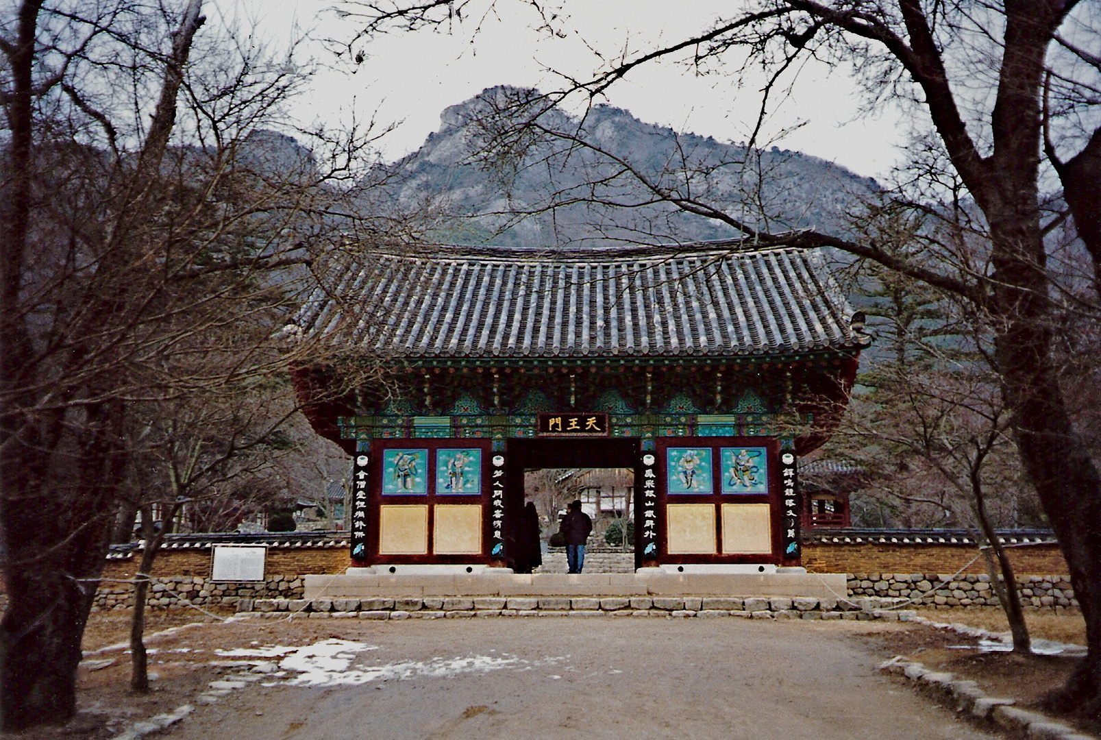 Naesosa Tempel (MW 1997/2 - m).jpg