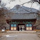 Naesosa Tempel (MW 1997/2 - m).jpg