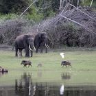 Nagarhole Nationalpark, Indien, Karnataka, #2