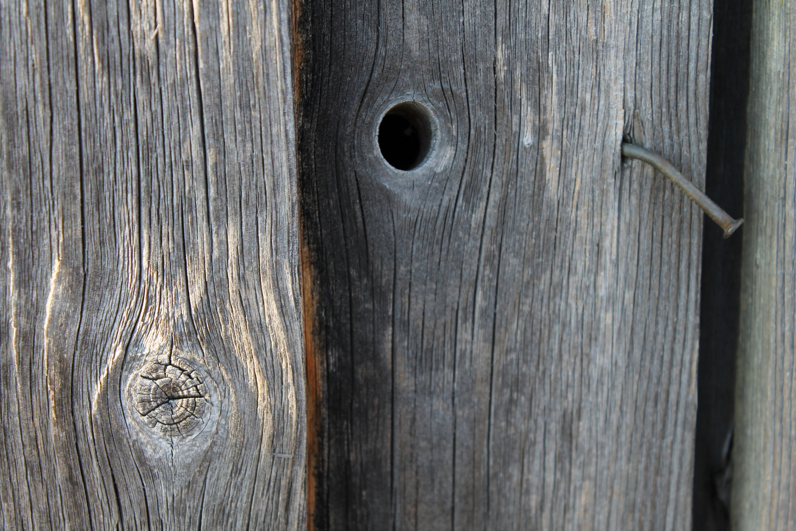 Nagel auf dem Holz