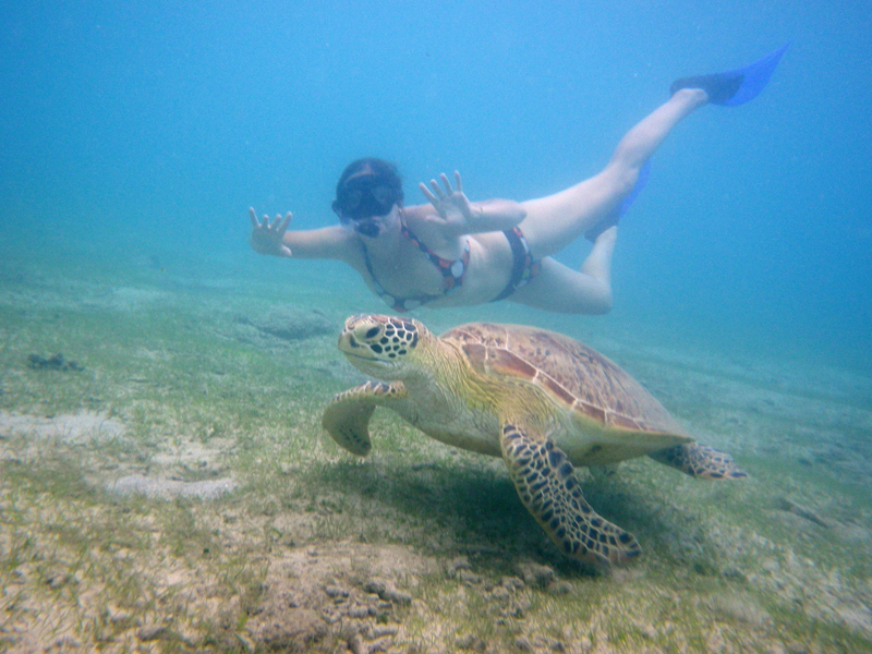 Nager avec les tortues