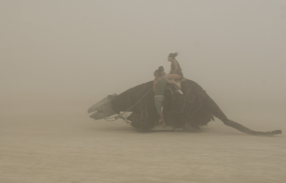 Nager im Burning Man 08 Sandsturm