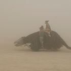 Nager im Burning Man 08 Sandsturm