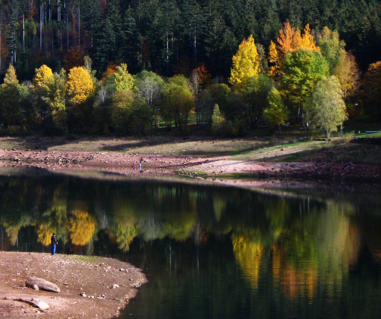 nagoldtalsperre im herbstkleid