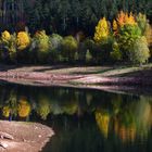 nagoldtalsperre im herbstkleid