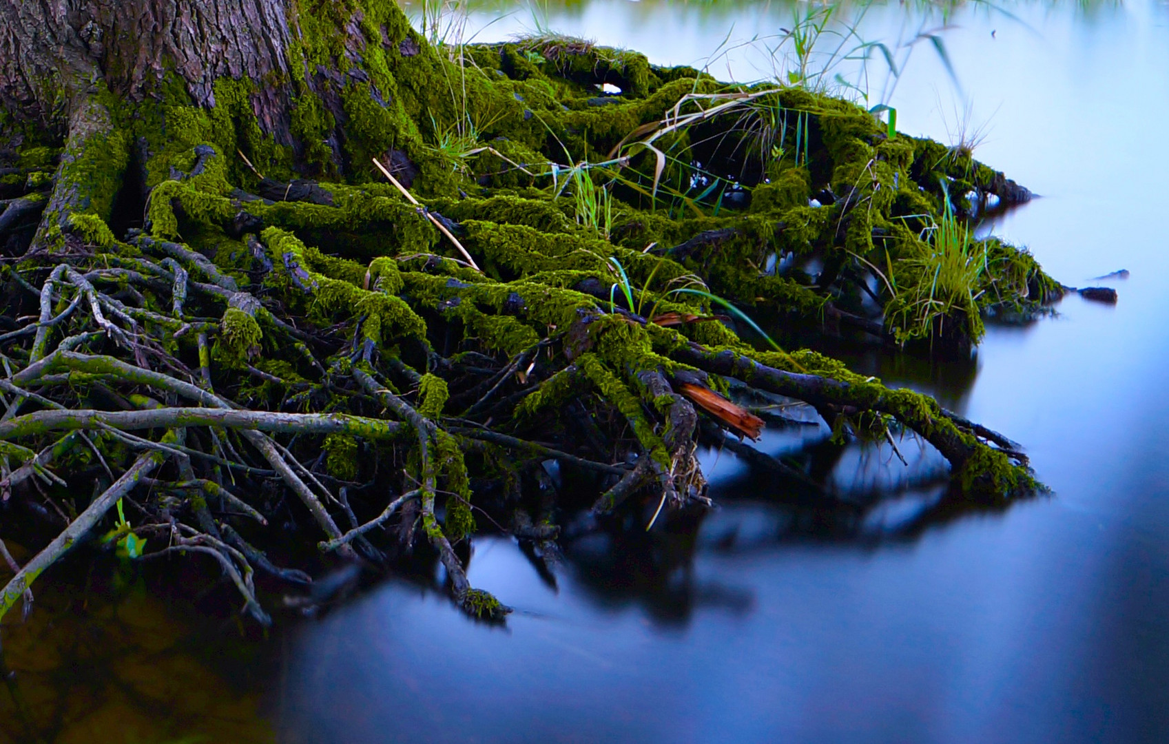 Nah am Wasser gebaut