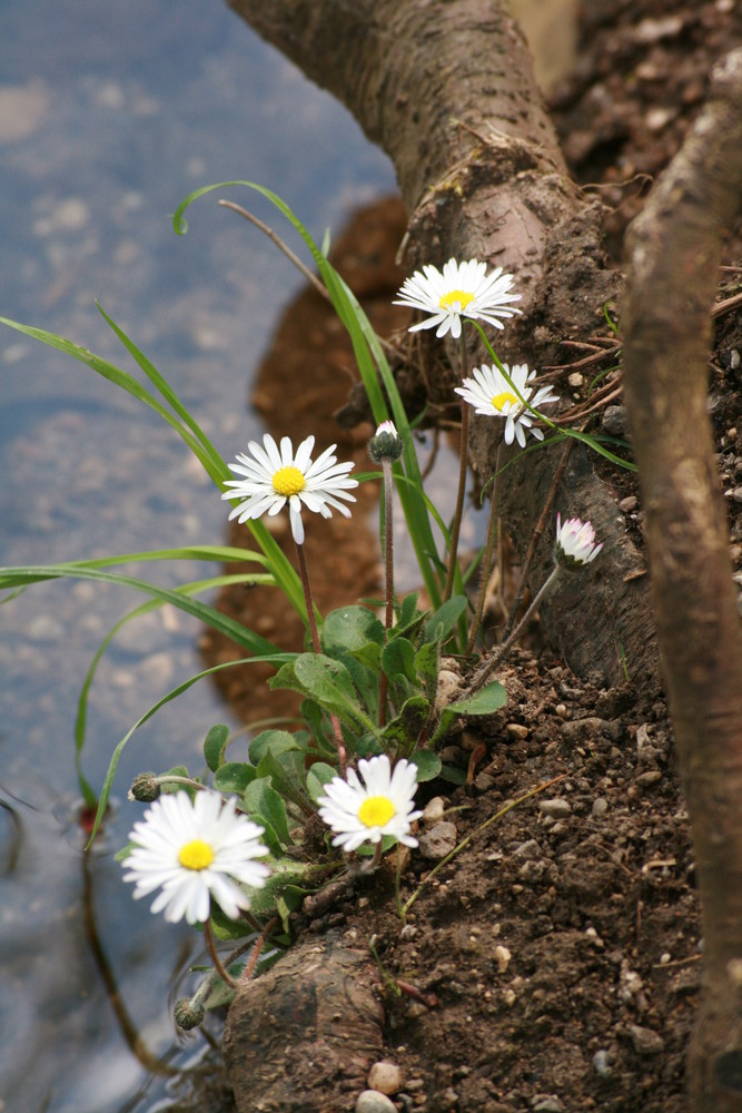 Nah am Wasser gebaut