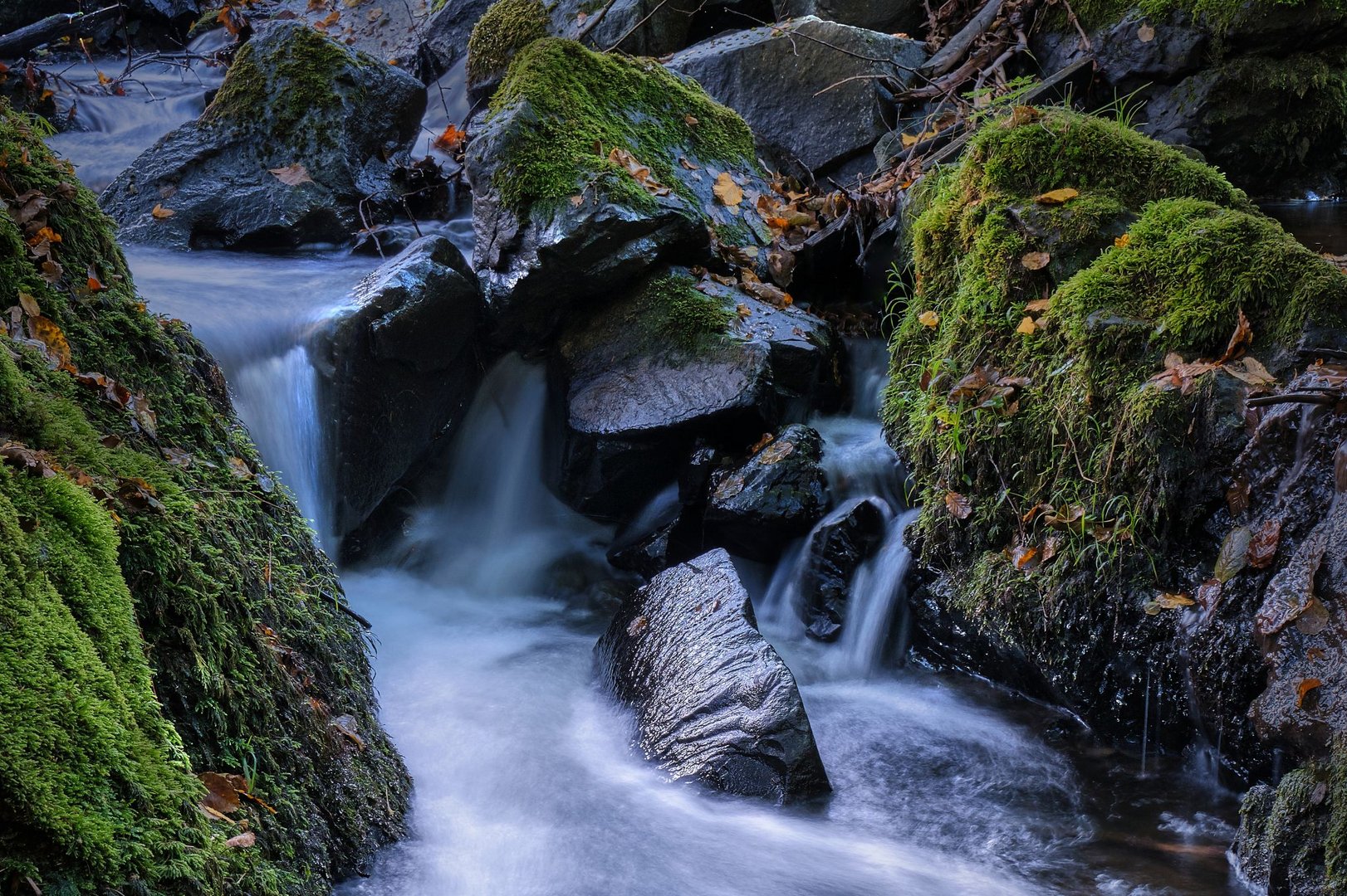 Nah an der Zorge | Harz