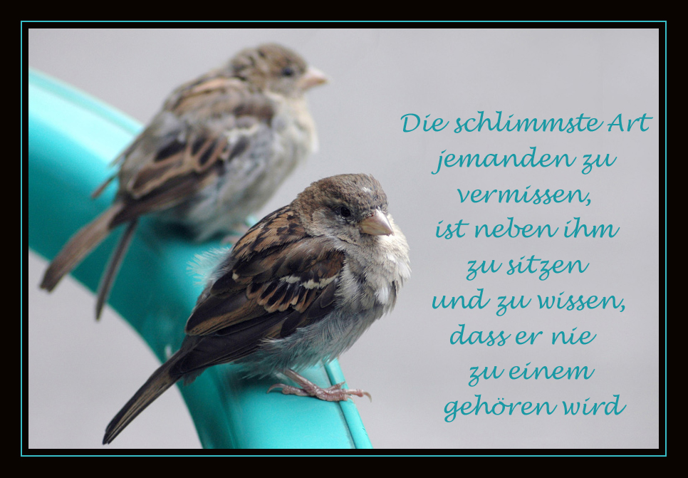 Nah & doch so fern Foto & Bild karten und kalender, spezial Bilder