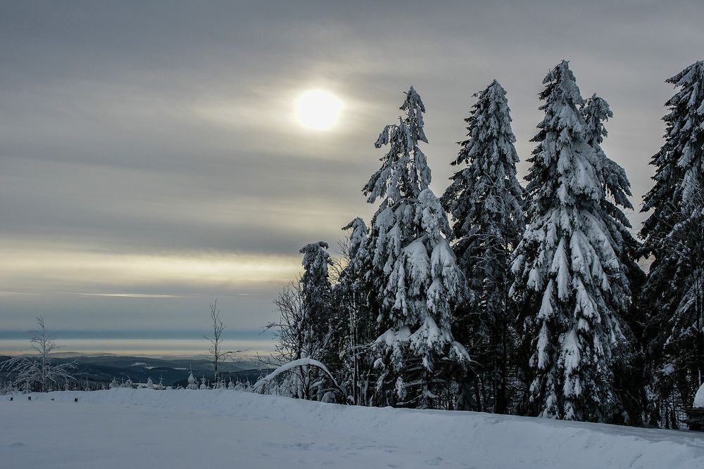 Nah- und Fernblick