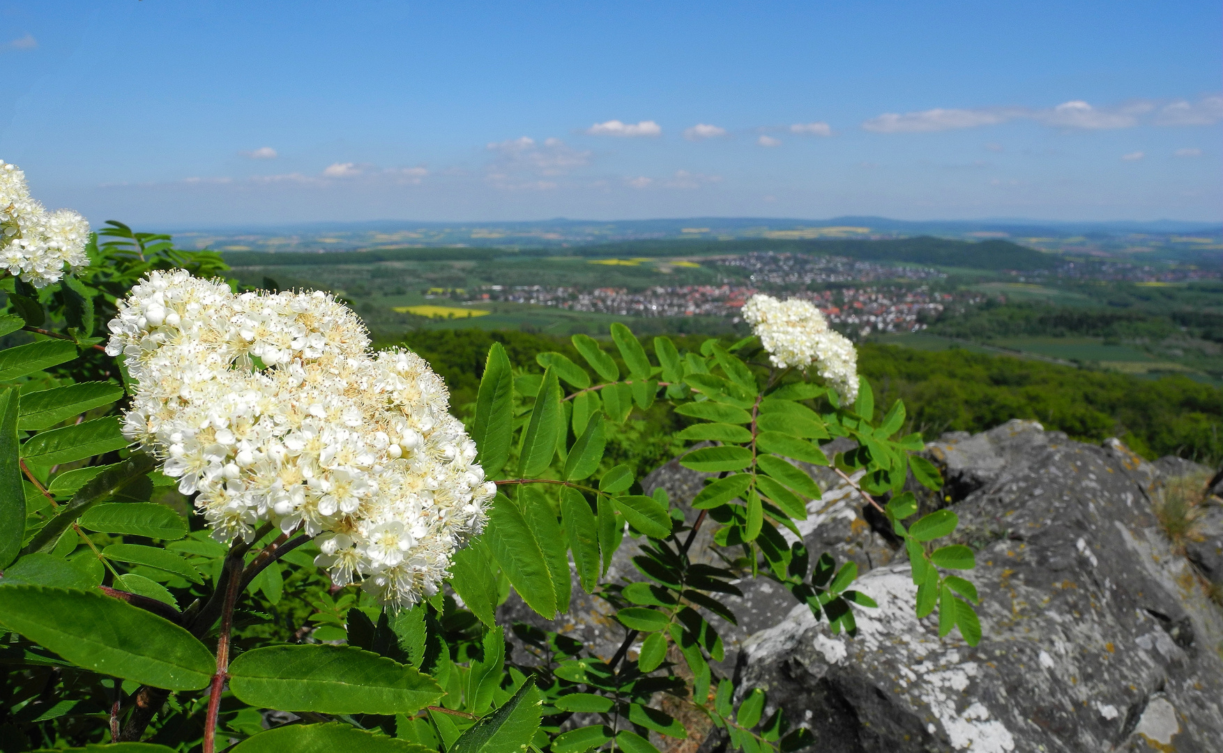 Nah- und Fernsicht