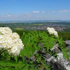 Nah- und Fernsicht