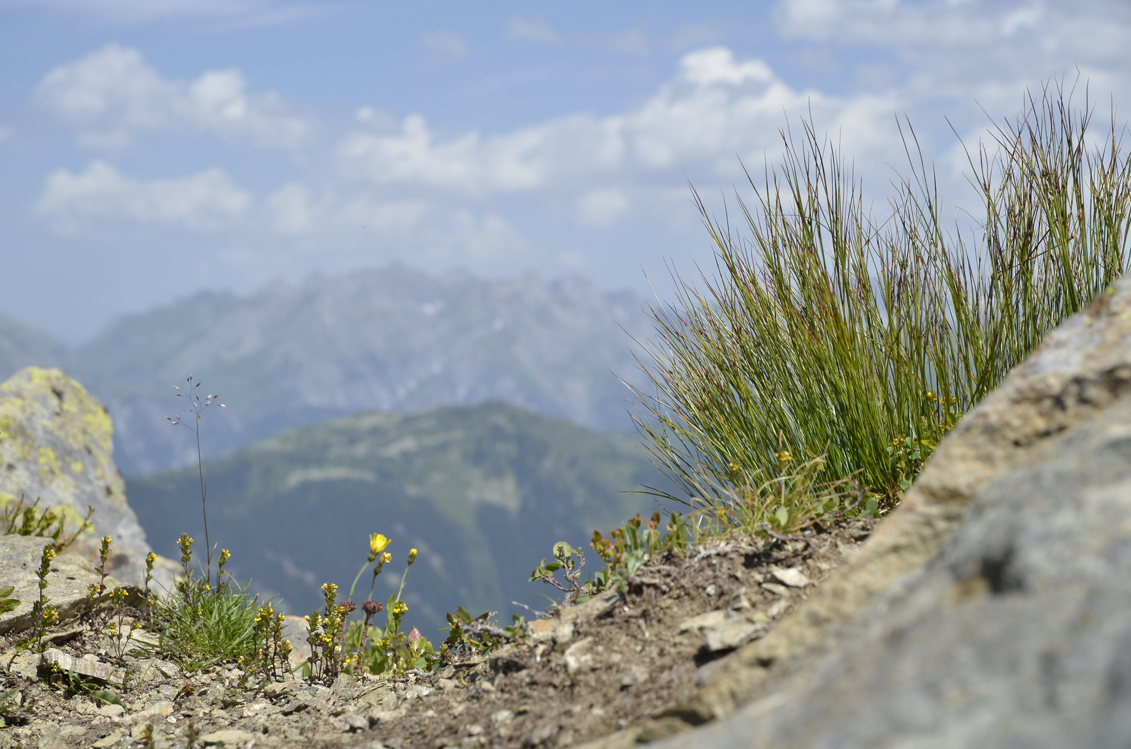 Nah- und Fernsicht