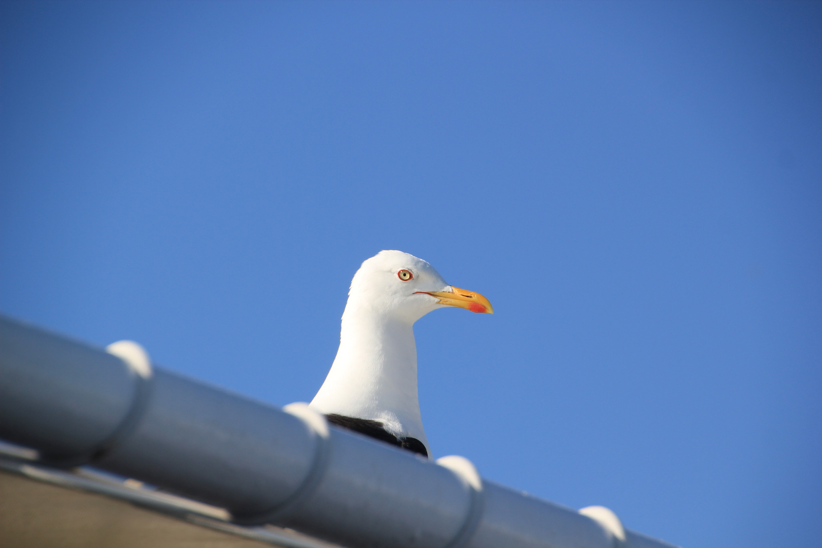 Na,Hafen in Sicht?