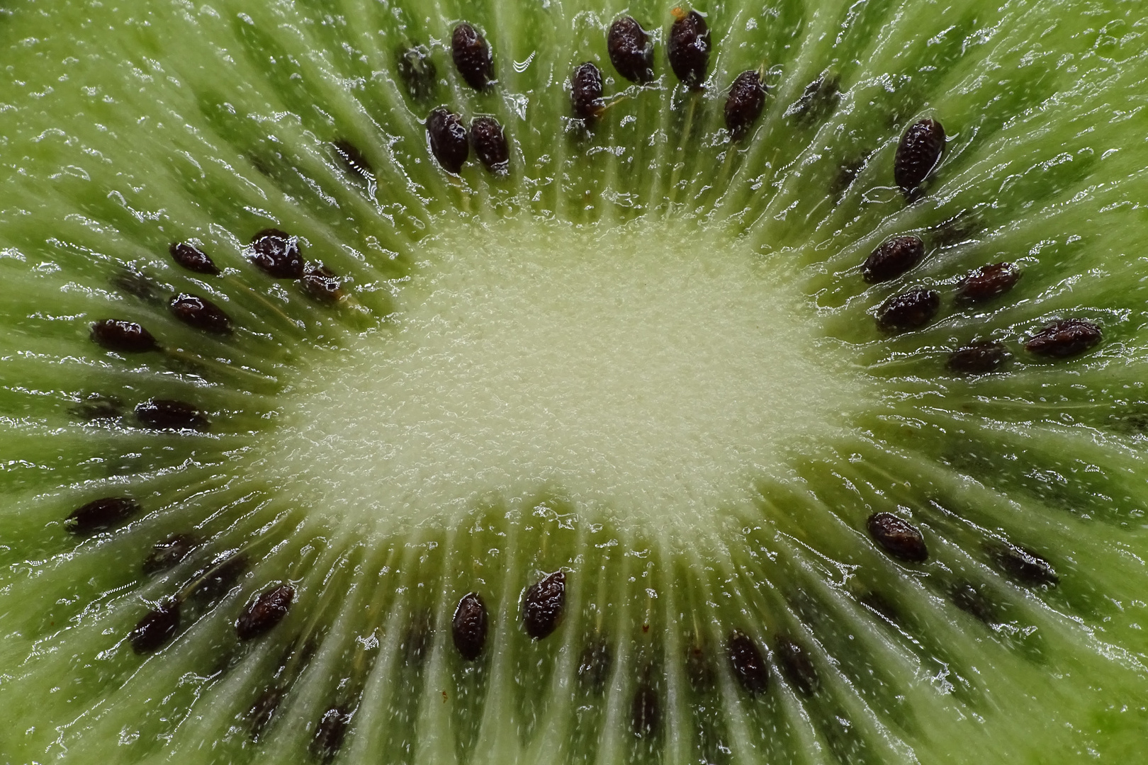 Nahaufnahme einer Kiwi