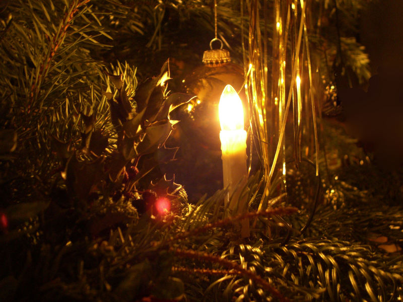 Nahaufnahme meiner Tannenbaum Beleuchtung