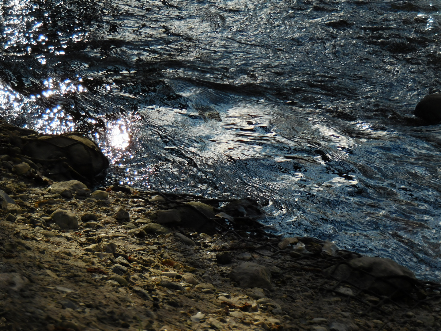 Nahaufnahme Wasserlauf Tarpenbek