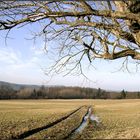 Nahbollenbach im Winter