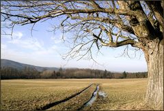 Nahbollenbach im Winter