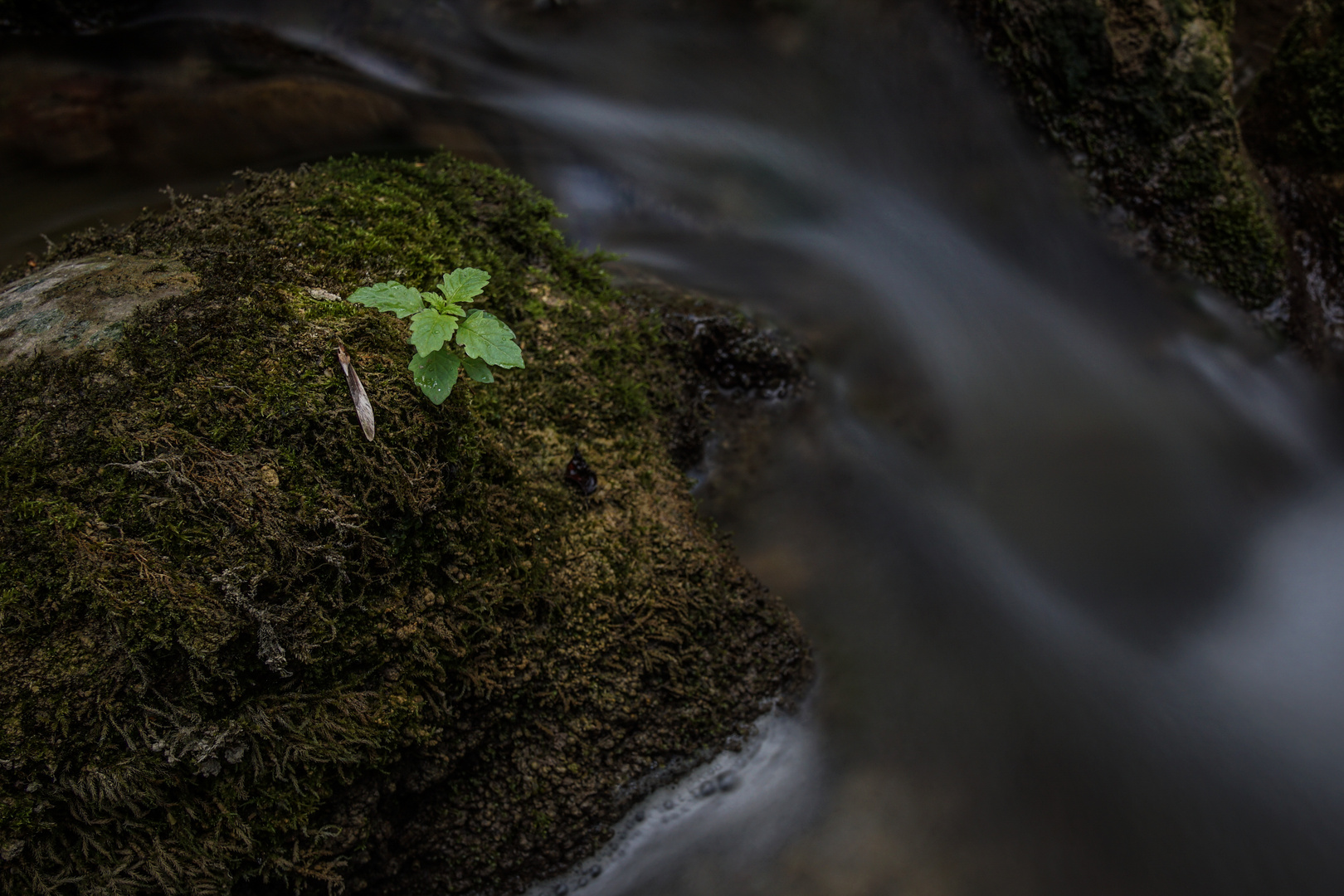 Nahe am Wasser