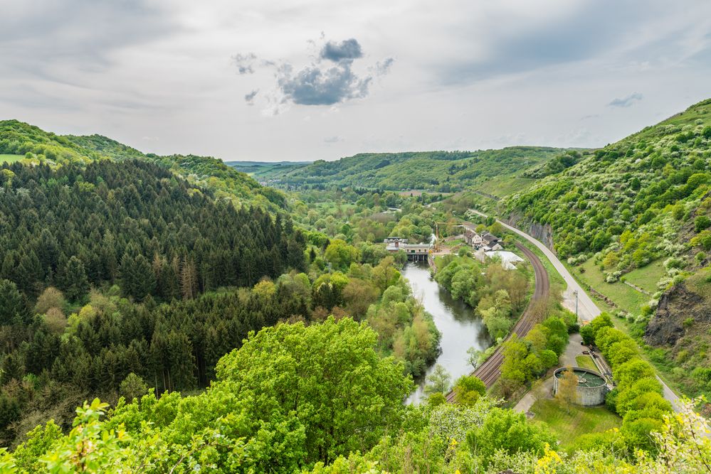 Nahe bei Schlossböckelheim 04