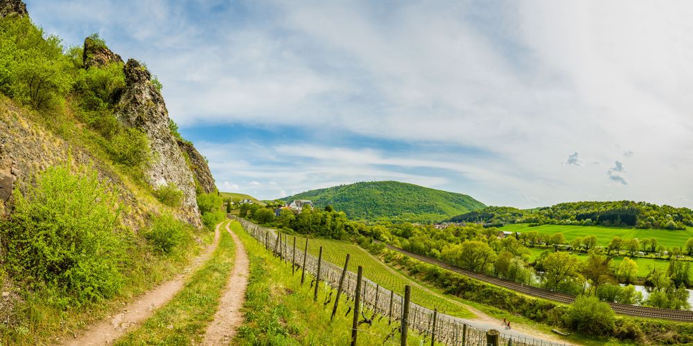 Nahe bei Schlossböckelheim (1)