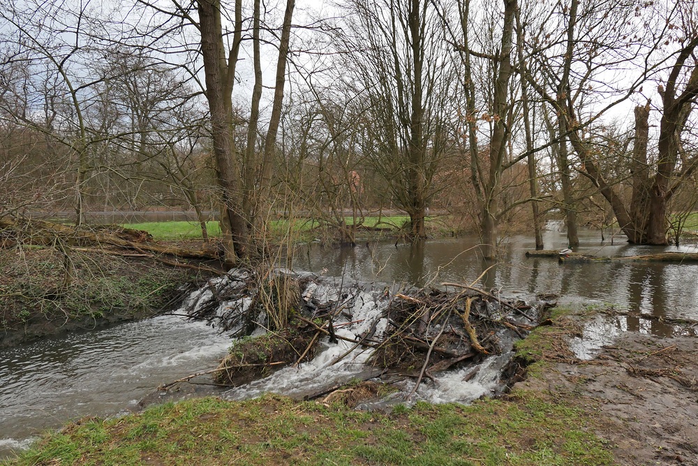 Nahe dem Biber an der Rodau: Der Damm